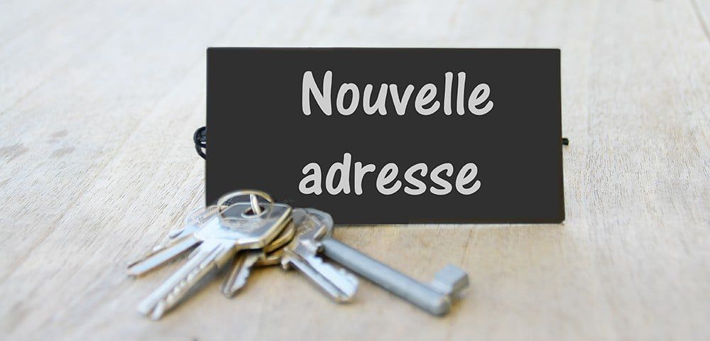 découvrez notre adresse et les services que nous proposons pour répondre à tous vos besoins. que ce soit pour des conseils, des informations ou des prestations spécifiques, notre équipe est là pour vous accompagner. contactez-nous dès aujourd'hui!