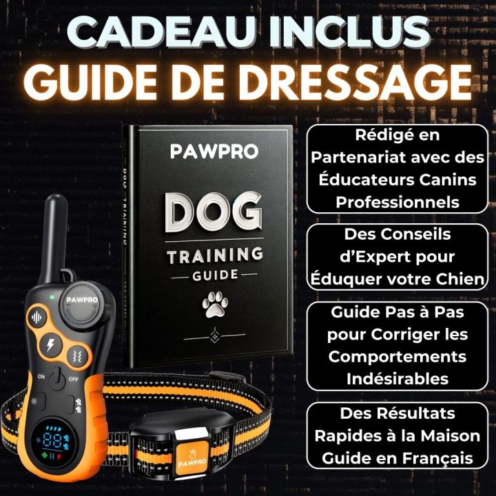 découvrez les avis et conseils de mb solutions pour optimiser vos projets et prendre des décisions éclairées. bénéficiez d'expertises pratiques et de retours d'expérience pour vous guider dans votre démarche.